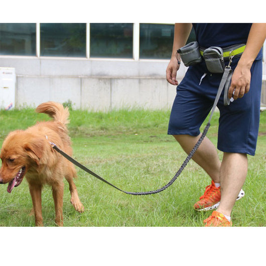 Correa Ajustable Manos Libres para Perros - Image 3