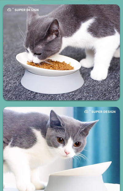 Comedero Ergonómico para Gatos con Soporte Cervical - Image 14