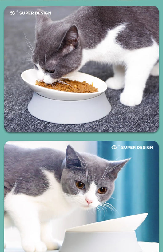 Comedero Ergonómico para Gatos con Soporte Cervical - Image 14