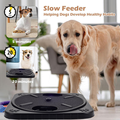 Tablero Rascador Multifunción para Perros con Comedero Lento - Image 7