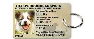 Tarjeta de Identificación para Mascotas