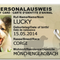 Tarjeta de Identificación para Mascotas