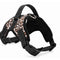 Leopard L