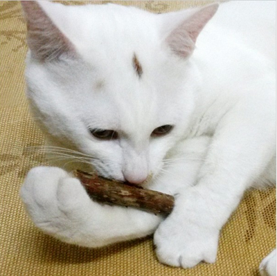 Set de 5 Juguetes Matatabi con Catnip para Gatos y Gatitos - Image 3