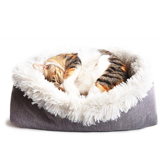 Cama de Terciopelo para Gatos Coreana Premium - Image 4