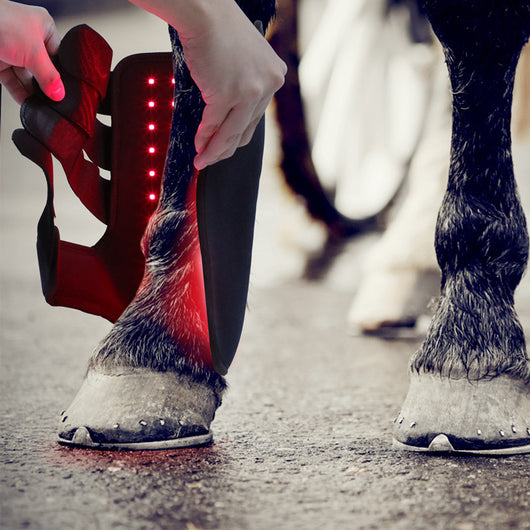 Dispositivo de Fototerapia Infrarroja Portátil para Recuperación de Lesiones en Mascotas y Caballos - Image 3