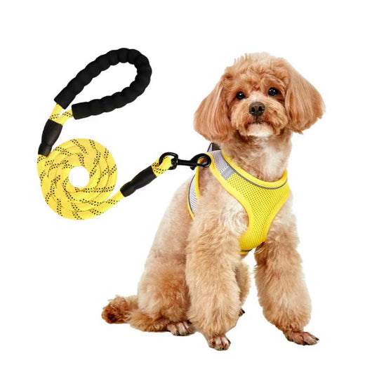 Small light brown poodle wearing an orange mesh dog vest harness with reflective trim and a retractable leash. - Image 14