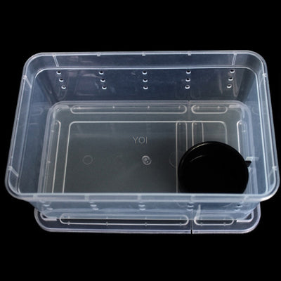 Caja de Alimentación Transparente para Reptiles - Image 5