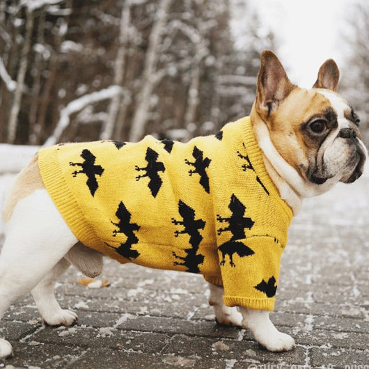 Suéter Térmico para Mascotas con Hilo Core-Spun
