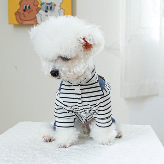 Ropa para Perros - Abrigo Adorable Diseño Osito - Image 20
