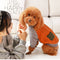 Suéter Abrigador para Perros
