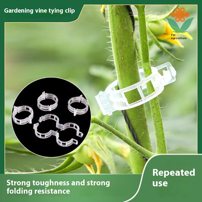Clips de Sujeción para Plantas y Enredaderas - Image 16