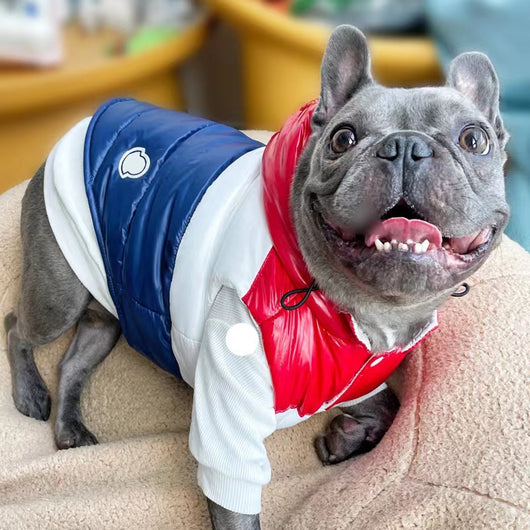 Chaleco Acolchado Tricolor para Perros Pequeños - Ropa de Invierno para Schnauzer, Teddy y Bulldog Francés - Image 6