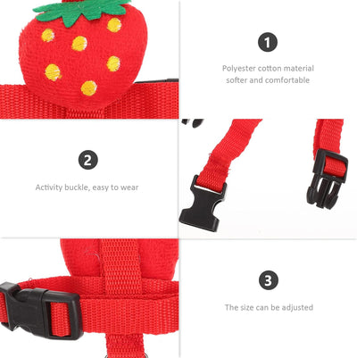 Arnés y Correa de Tracción para Mascotas Pequeñas - Seguridad y Control - Image 18