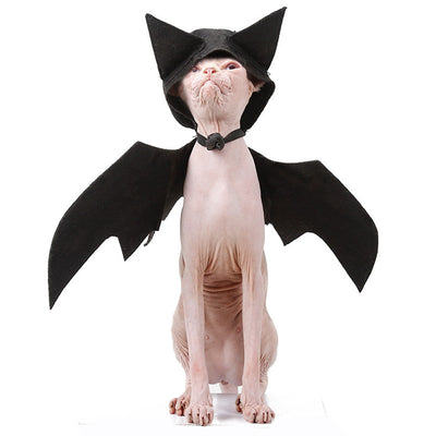 Alas de Murciélago para Mascotas - Image 18