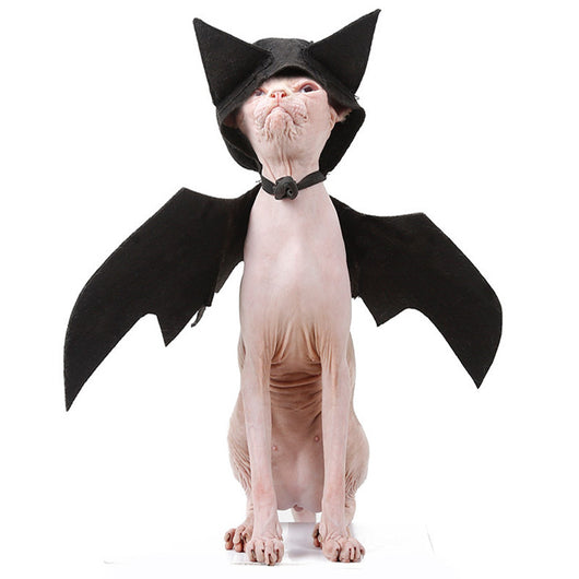 Alas de Murciélago para Mascotas - Image 18