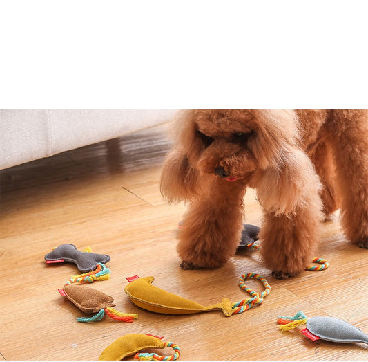 Juguete Dental Resistente para Perros - Limpieza de Molares