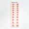 Nail Stickers Tipo 21