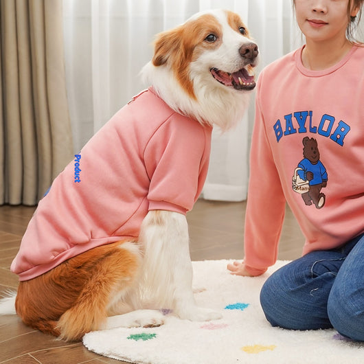 Large dog wearing a teal fleece-lined sweatshirt with 'BAYLOR' text and a bear graphic on the back.