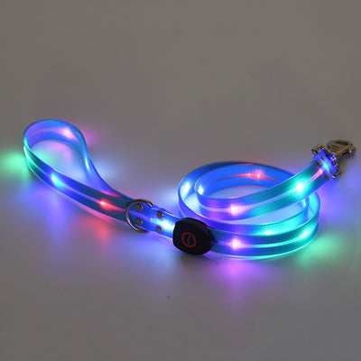 Collar LED Recargable para Mascotas con Correa de Seguridad - Image 6