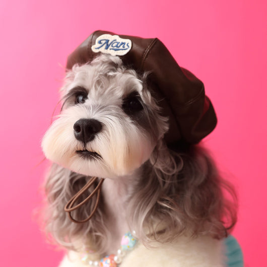 Sombrero Calabaza para Fotos de Mascotas - Diseño Cóncavo
