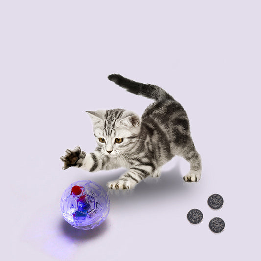 Transparent plastic pet toy ball with an internal bell and red flashing light, packaged on a pink card.