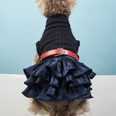 Conjunto de Abrigo y Falda para Mascotas - Otoño e Invierno - Image 8