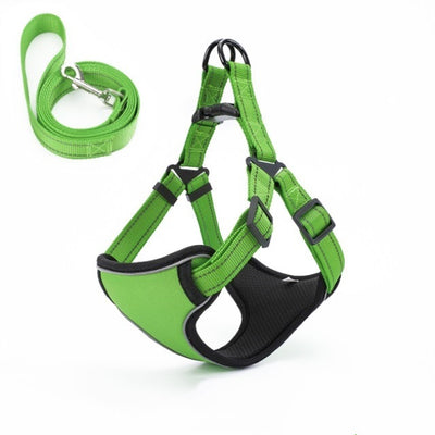 Arnés Chaleco para Pasear Perros con Cuerda Integrada - Image 18