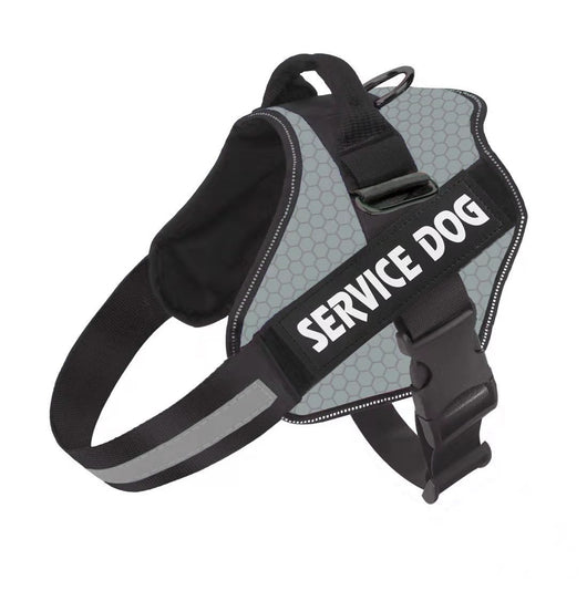 Arnés de Pecho Fashion para Perro con Correa Integrada - Image 14