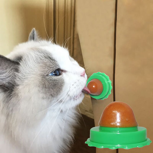 Two pet cat energy ball lick toys with catnip, one with a green base and orange pouch, the other with a blue base and black pouch. - Image 7