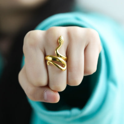 Anillo de Acero Inoxidable Serpentina
