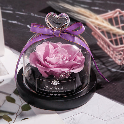 Rosas Eternas con LED en Vidrio - Flores Secas para Decoración y Regalos - Image 16