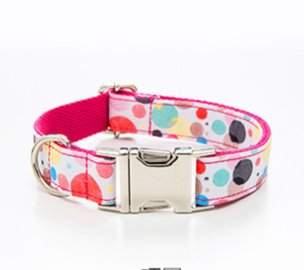 Collar Personalizado para Perro con Diseño de Letras - Image 14