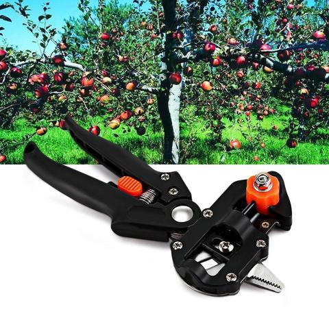 Producto Premium 12 - Image 10