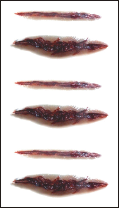 Pegatina de Tatuaje de Herida de Halloween - Image 9