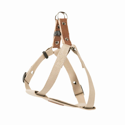 Correa de Algodón Suave para Perros - Diseño Trendy para Todas las Estaciones - Image 10