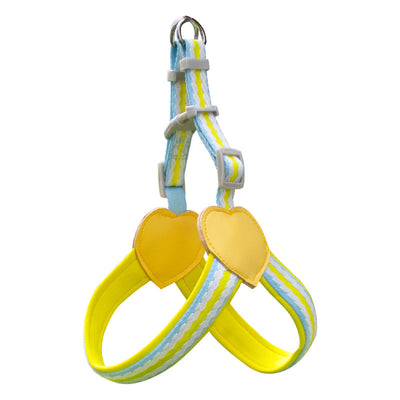 Arnés de Pecho con Correa para Pasear Perros - Control Seguro y Cómodo - Image 7