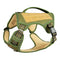 Green Olive M