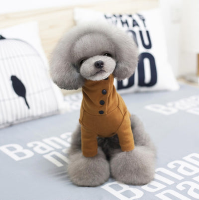 Ropa de Otoño e Invierno para Perros Pequeños - Image 12