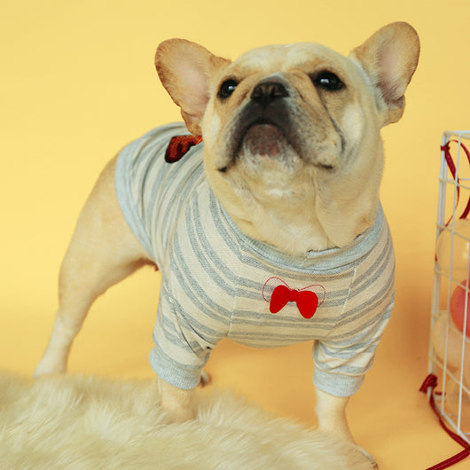 Suéter Tejido para Perros Pequeños - Diseño Bulldog Francés - Image 3