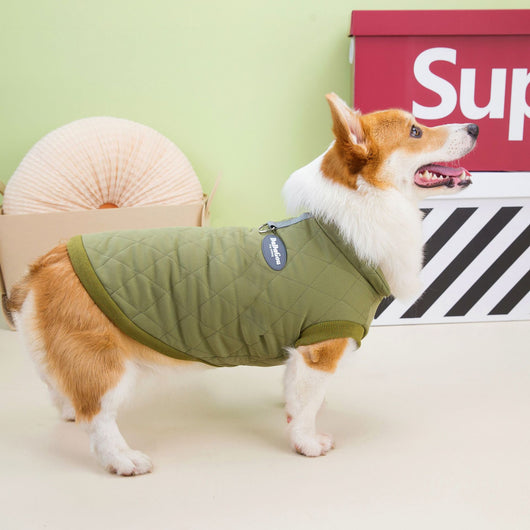 Abrigo Acolchado para Corgi Otoño Invierno con Diseño de Diamantes