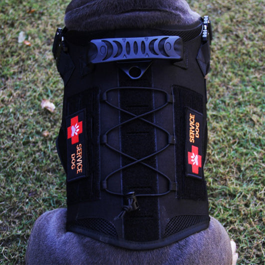 Ropa Táctica para Perros Grandes - Protección y Estilo - Image 5