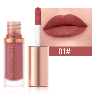 Labial Velvet Mate 12 Colores - Larga Duración Sin Transferencia - Image 4