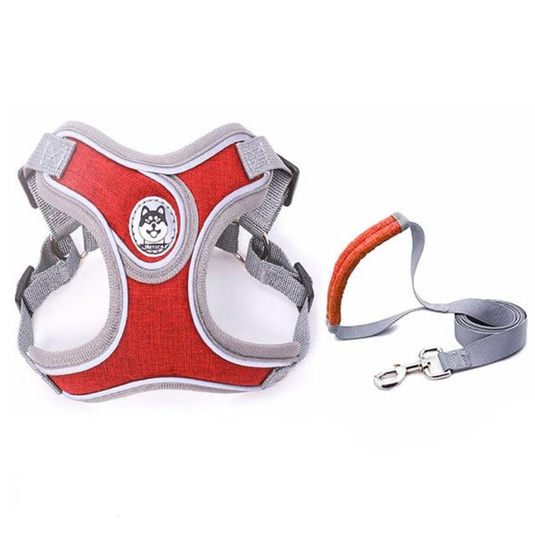 Correa de Tracción PET para Collar de Perros Pequeños y Medianos