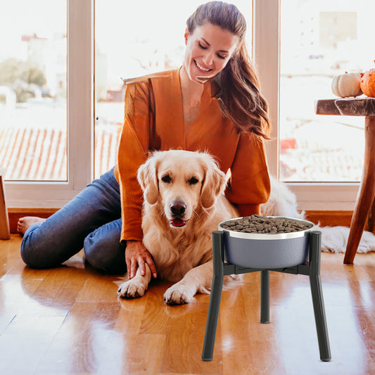 Comedero Ajustable para Perros con Soporte Regulable - Image 2