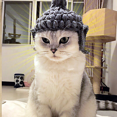 Gorro de Lana Buddha para Gatos - Disfraz Acogedor - Image 4