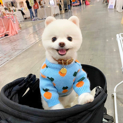 Suéter Tejido para Perros con Estampado Adorable - Manga Larga - Image 4