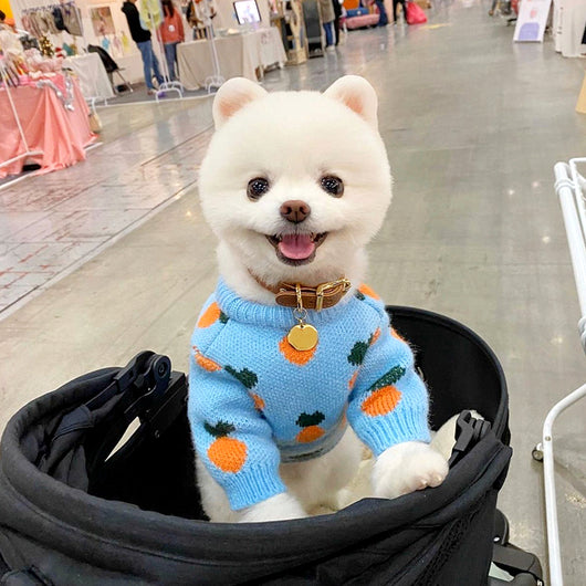 Suéter Tejido para Perros con Estampado Adorable - Manga Larga - Image 4
