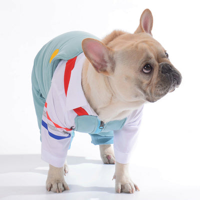 Pantalones de Algodón para Perro Teddy - Diseño Adorable con Correa - Image 14