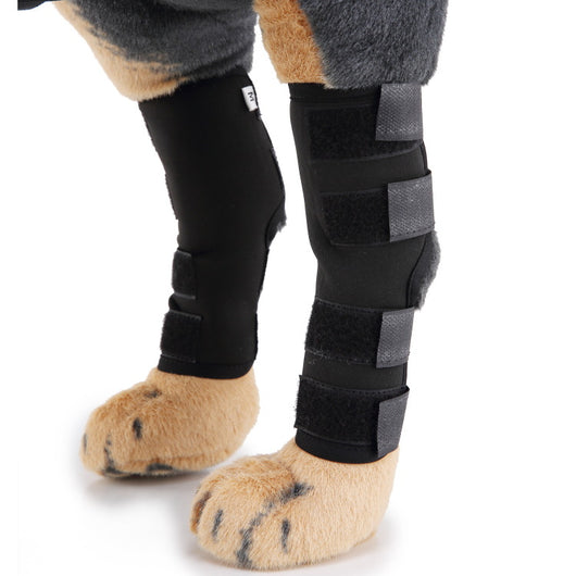 Soporte Ortopédico para Pata de Perro - Image 24